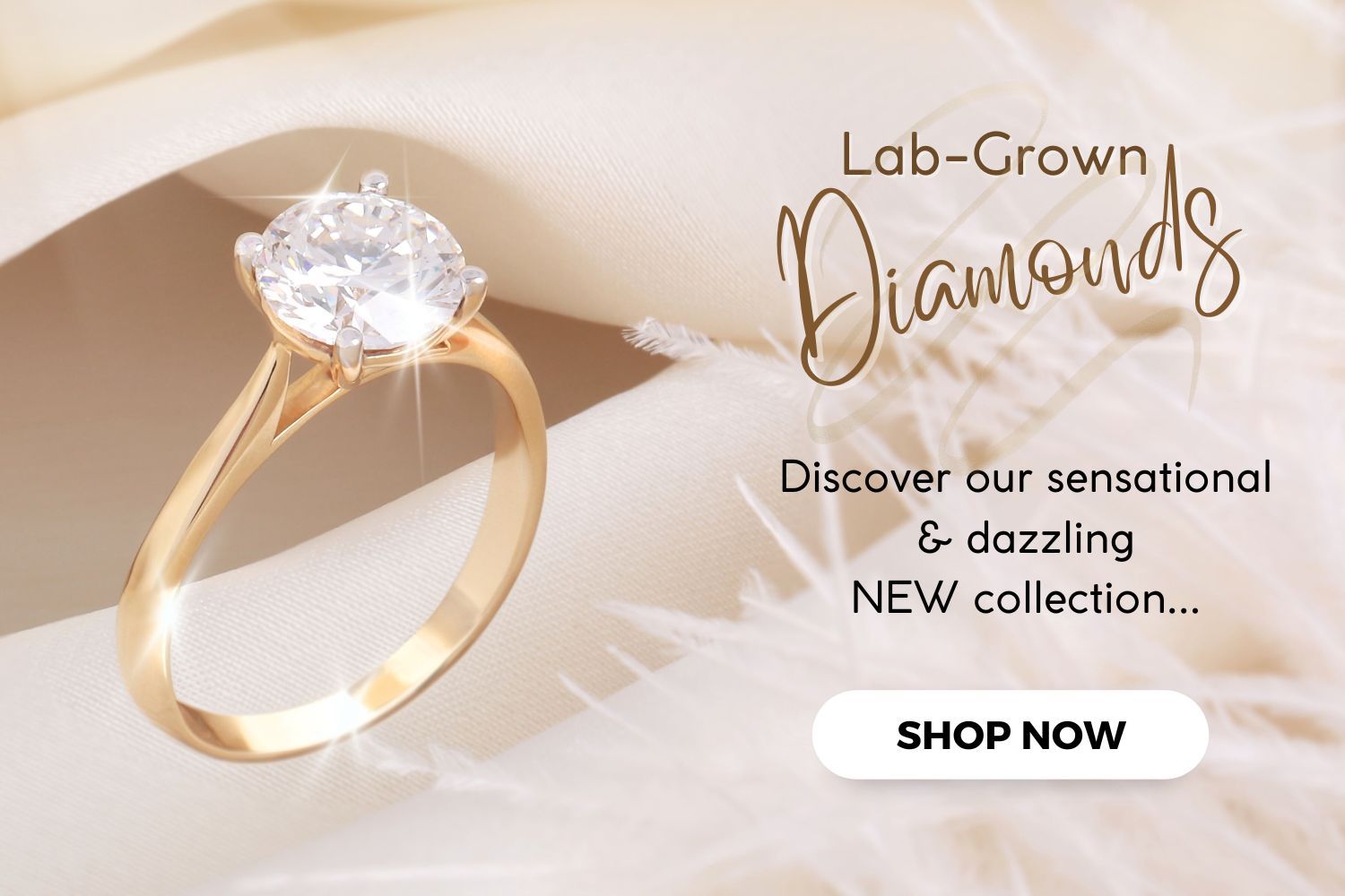 Quality Jewellery at Affordable Prices  Warren James Jewellers