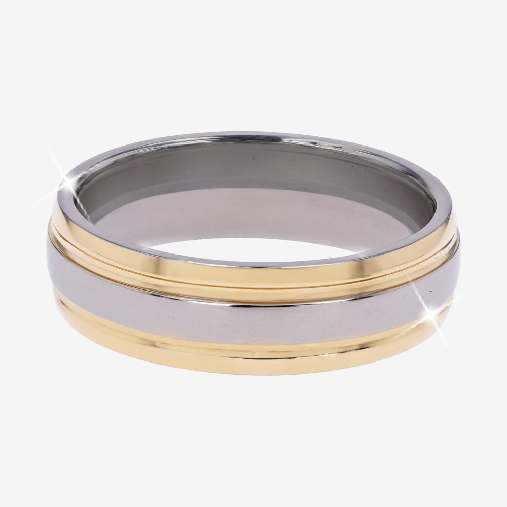 Men's 2 Colour Titanium Band