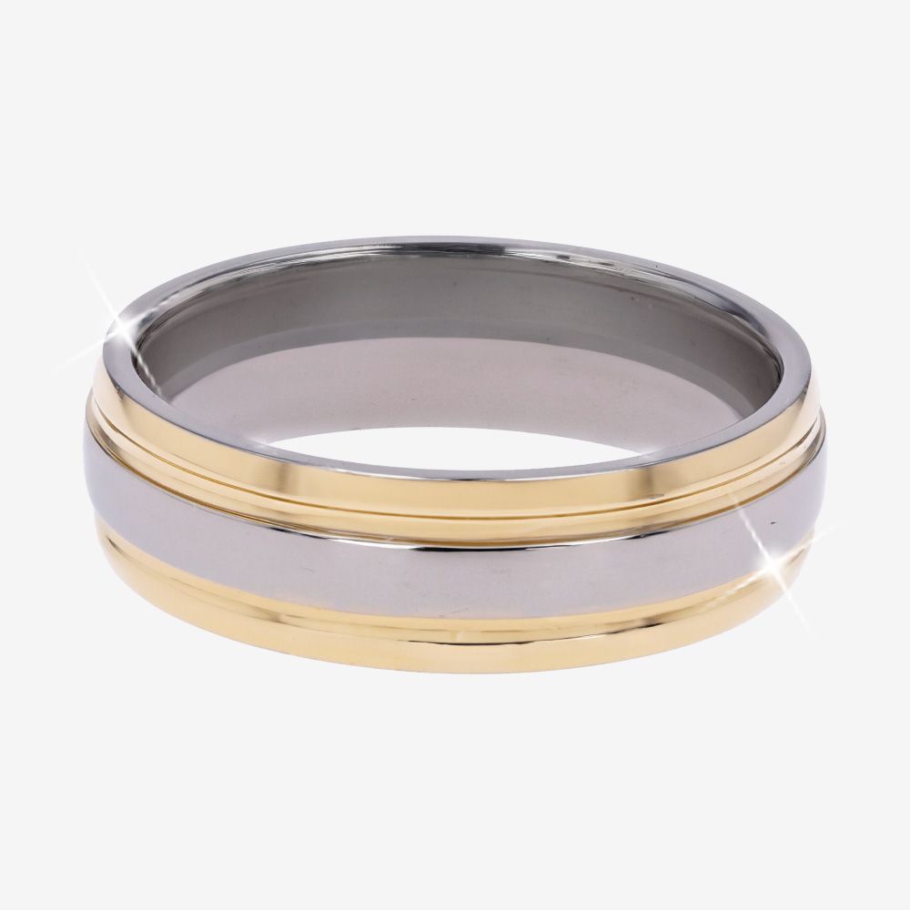 Mens 2 Colour Titanium Band